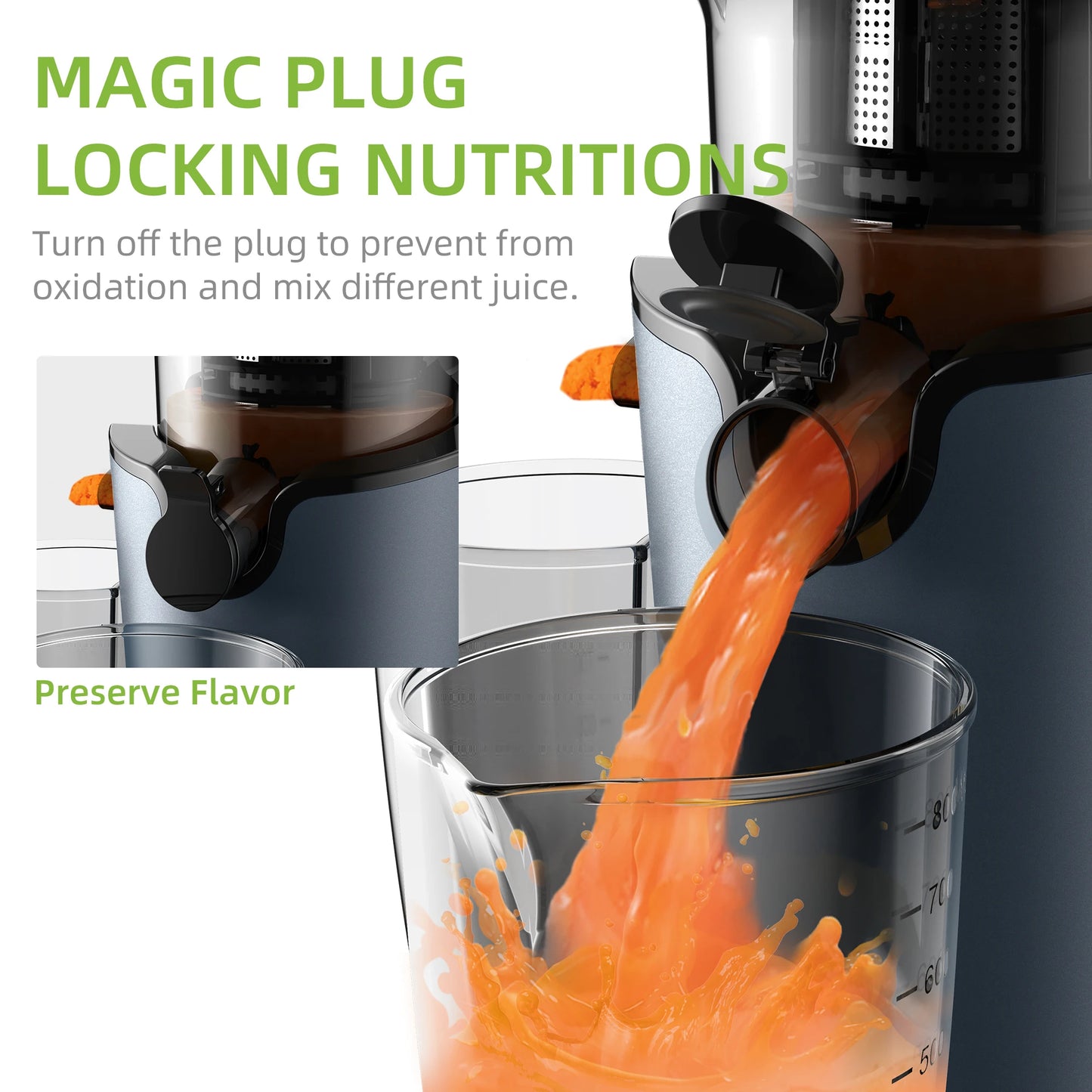 Biolomix Cold Press Juicer Slow Masticating 200W Fits Whole Fruits