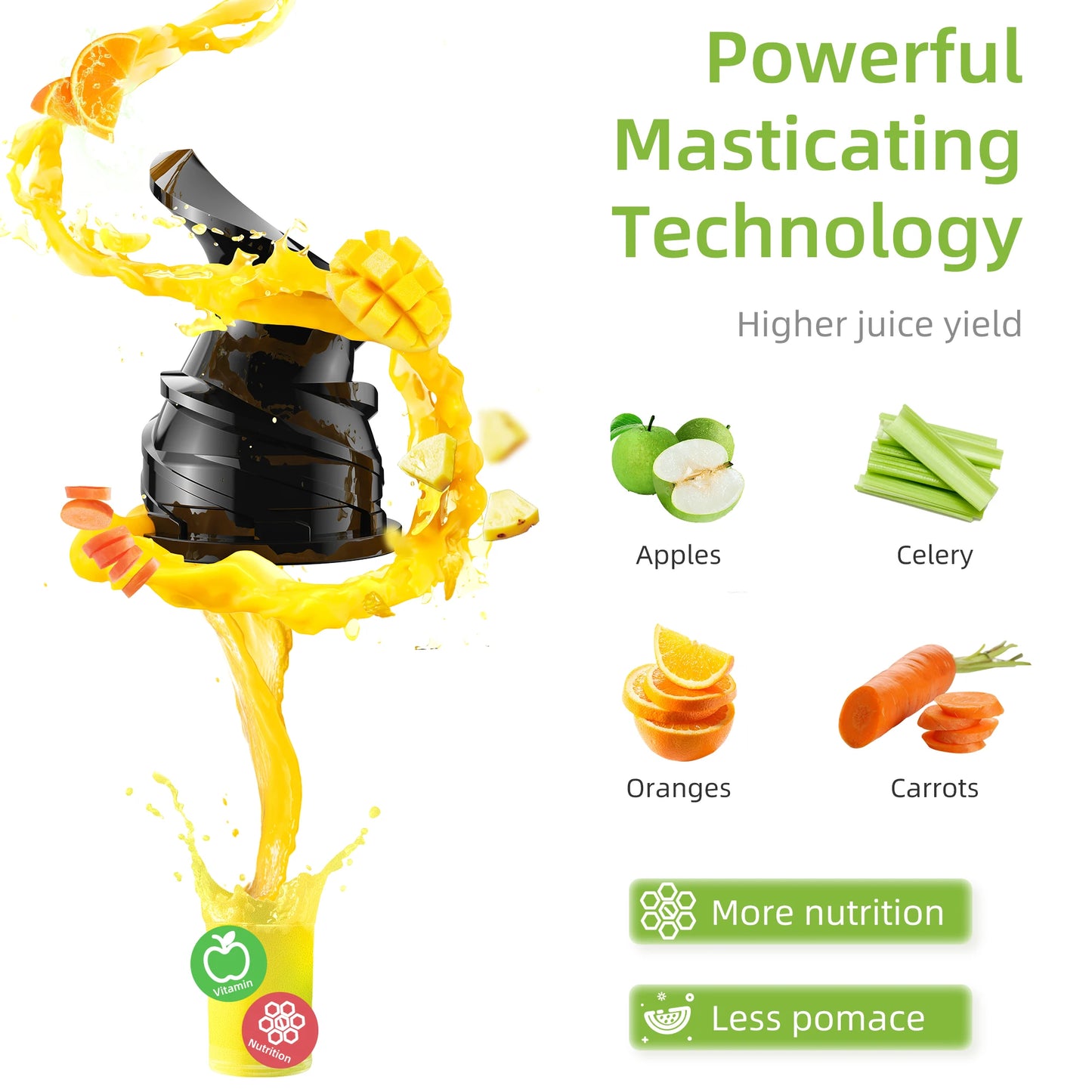 Biolomix Cold Press Juicer Slow Masticating 200W Fits Whole Fruits