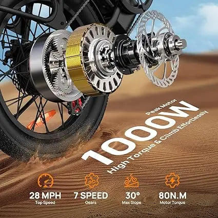 URLIFE 1000W E20 Electric Bike Fat Tire With Removable Battery